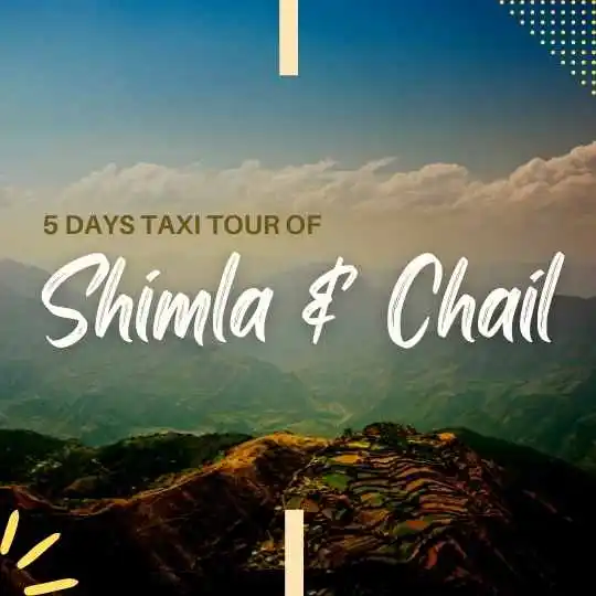 shimla and chail